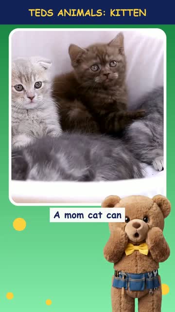 Tinker Ted and the Kitten