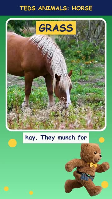 Tinker Ted and the Horse