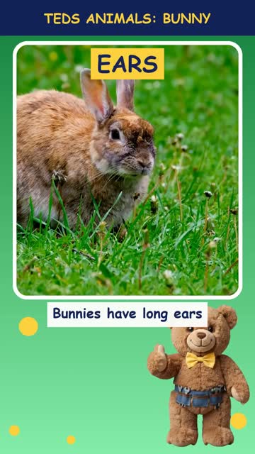 Tinker Ted and the Bunny