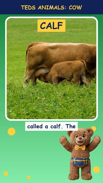 Tinker Ted and the Cow
