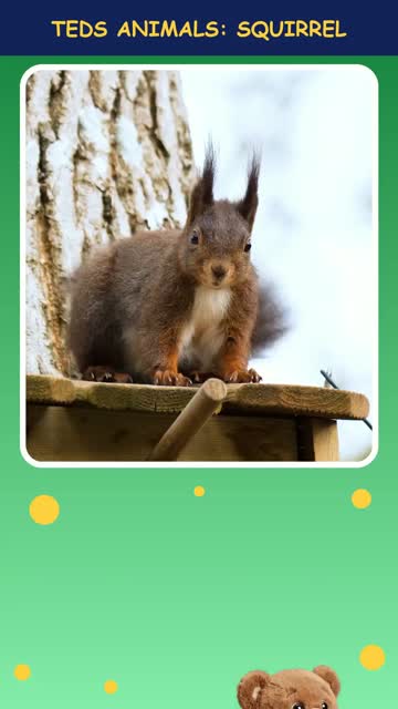 Tinker Ted and the Squirrel
