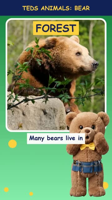 Tinker Ted and the Bear