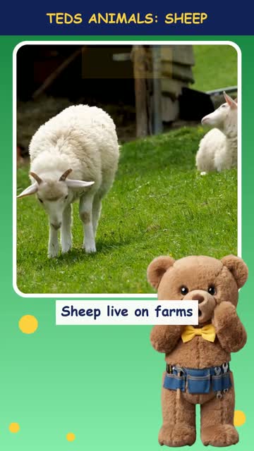 Tinker Ted and the Sheep