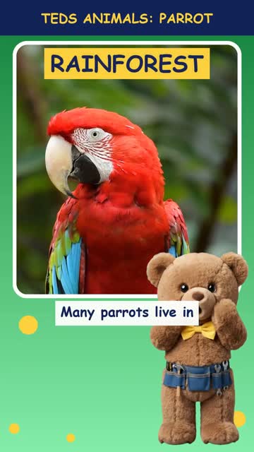 Tinker Ted and the Parrot
