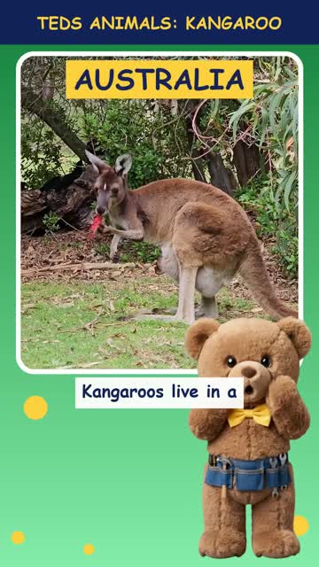 Tinker Ted and the Kangaroo