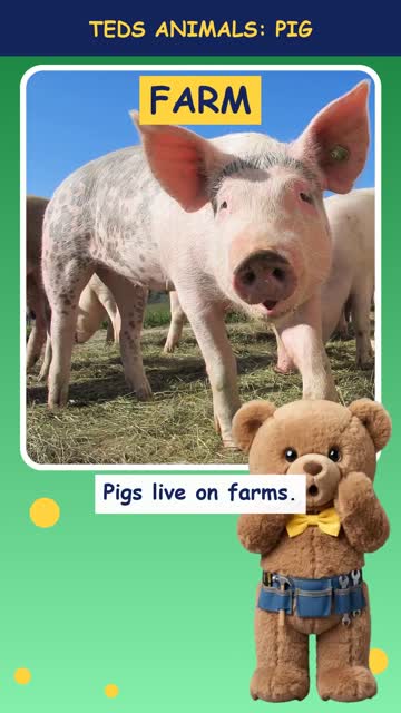 Tinker Ted and the Pig