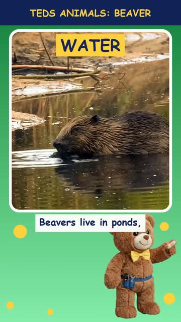 Tinker Ted and the Beaver