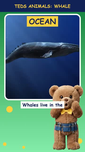 Tinker Ted and the Whale