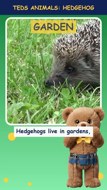 Tinker Ted and the Hedgehog