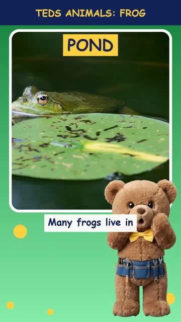Tinker Ted and the Frog