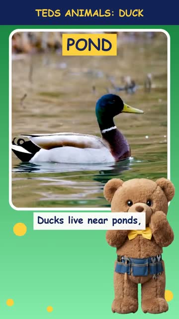 Tinker Ted and the Duck