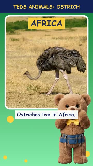 Tinker Ted and the Ostrich