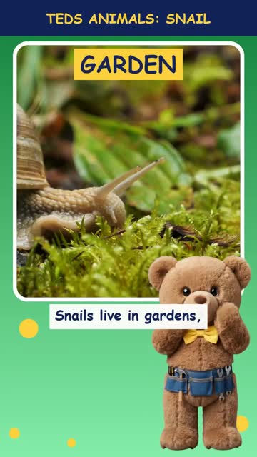Tinker Ted and the Snail