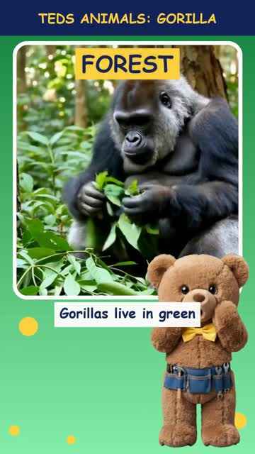 Tinker Ted and the Gorilla
