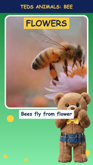 Tinker Ted and the Bee