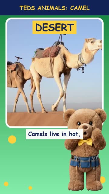 Tinker Ted and the Camel