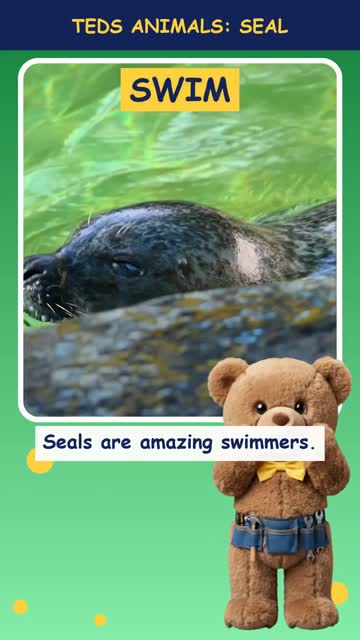 Tinker Ted and the Seal