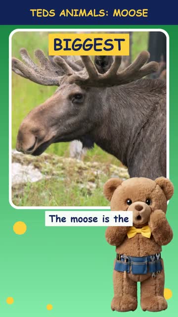 Tinker Ted and the Moose