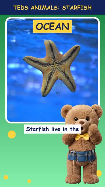Tinker Ted and the Starfish