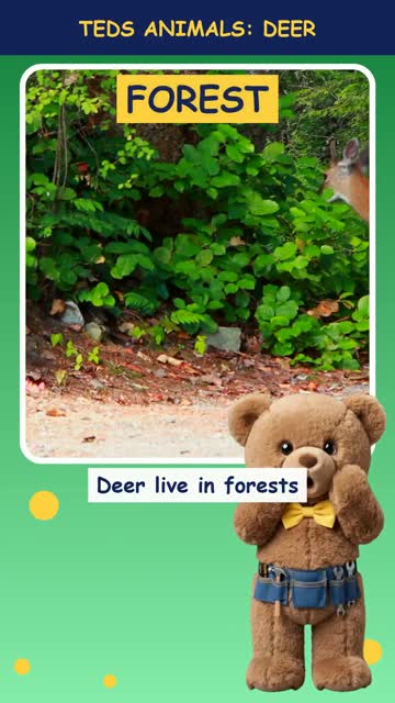 Tinker Ted and the Deer