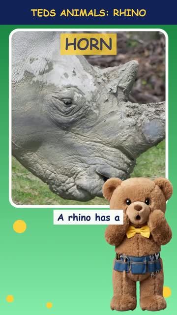 Tinker Ted and the Rhino