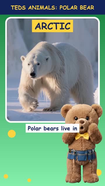 Tinker Ted and the Polar Bear