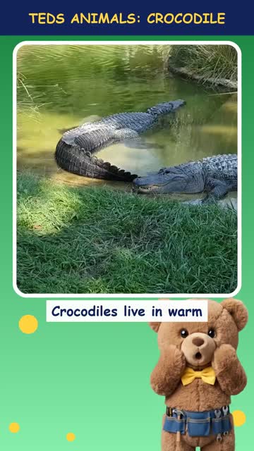 Tinker Ted and the Crocodile