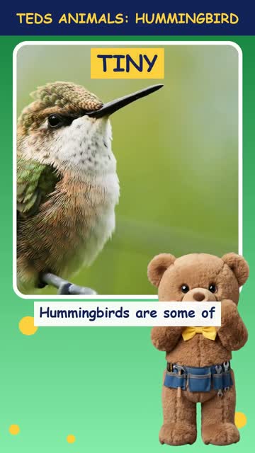 Tinker Ted and the Hummingbird