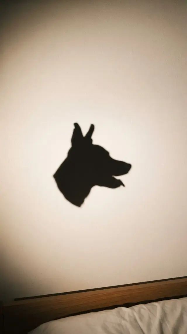 Shadow Puppets step 3