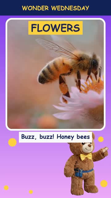 How do bees make honey?