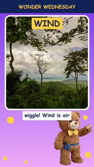 Why does the wind blow?