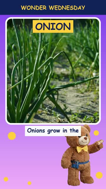 Why do onions make us cry?