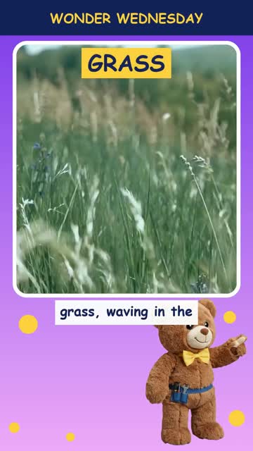 Why is grass green?
