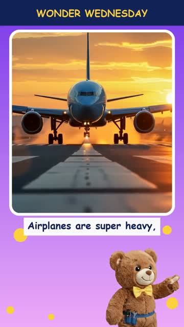 How do airplanes stay up?