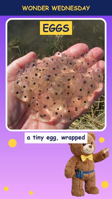 How do frogs grow?