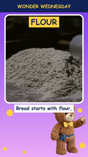 Why does bread rise?
