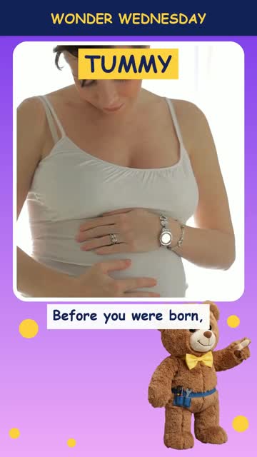 Why do we have belly buttons?