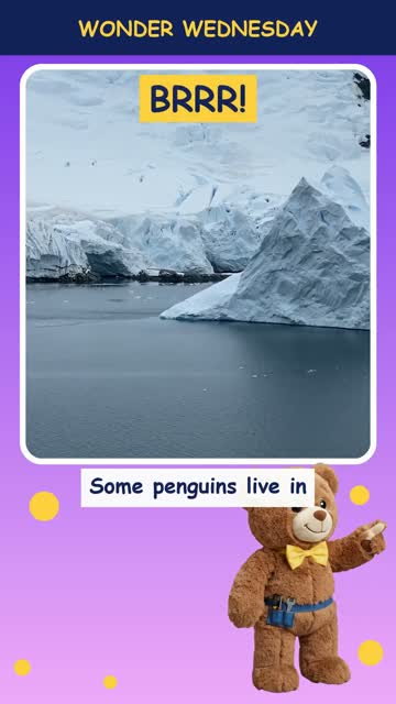 How do penguins stay warm?